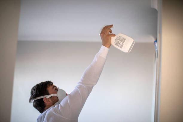 Best Water Damage Restoration  in Pensacola Station, FL