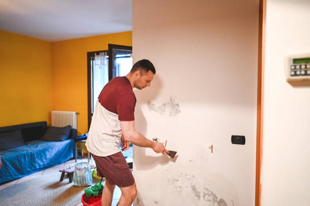 Best Mold Damage Repair  in Pensacola Station, FL